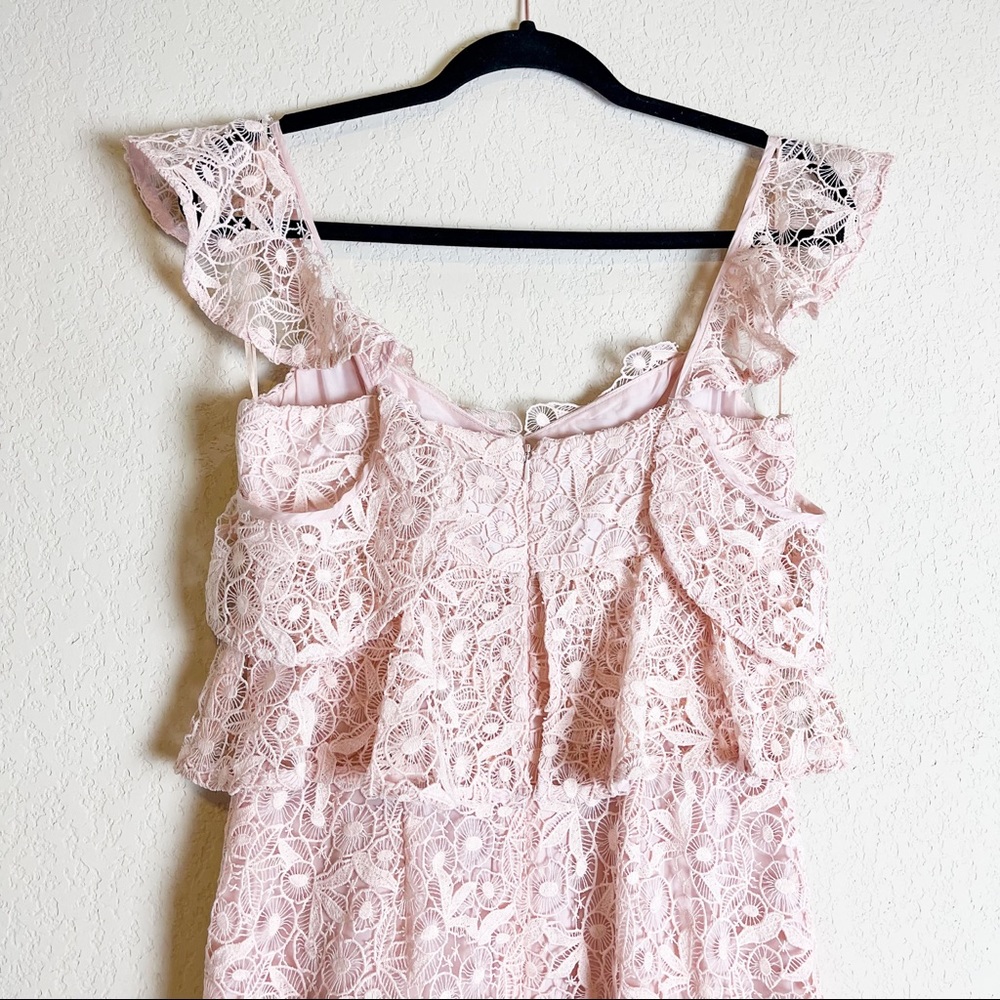 Amur Hayden Lace Midi Dress Blush Pink Size 2 NWT - Picture 8 of 11
